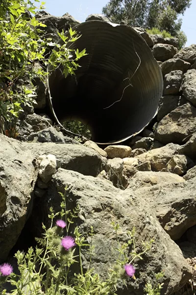WATERBORNE : Water board officials found elevated mercury levels in Curti Creek 12 years ago. Mine waste from the Oceanic Mine, now the Charan Springs Farm, was identified as the source but there’s been no cleanup at the site. - PHOTO BY STEVE E. MILLER