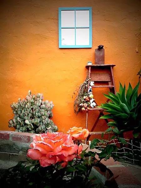 WALL SCENE: - PHOTO BY STEVE E. MILLER