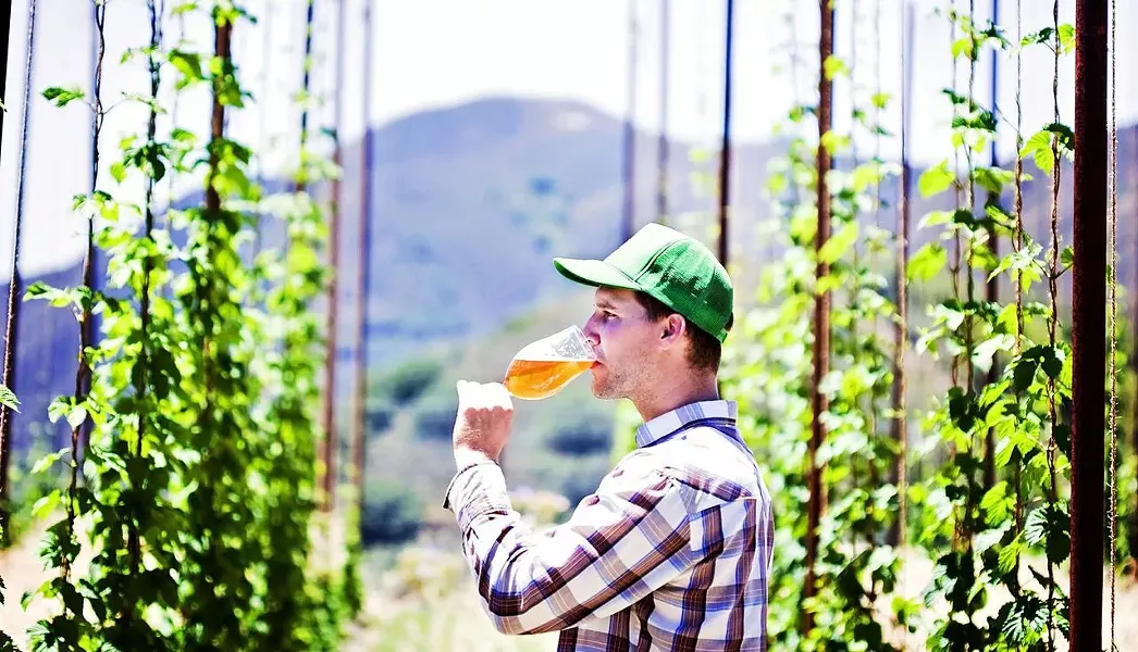 BROTHERS TALENTED: Toro Creek Brewing Company founder Brendan Cosgrove employed the talents of his brothers Caleb McLaughlin, brewmaster, and Kyle Batoor-Cosgrove, farmer, to create Toro Creek Farms. The operation produces organic hops, - bushels of fresh barley, and a range of herbs, veggies, and citrus on the family-owned land. - PHOTO BY DUMMIT PHOTOGRAPHY