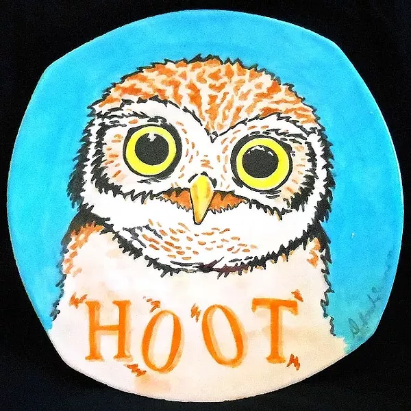 WHAT A HOOT: The childhood favorite book 'Hoot' by Carl Hiaasen was the inspiration behind this plate by Deborah Swanson, artist and owner of Studio 101 West in Atascadero. - PHOTO COURTESEY OF PASO ROBLES CITY LIBRARY