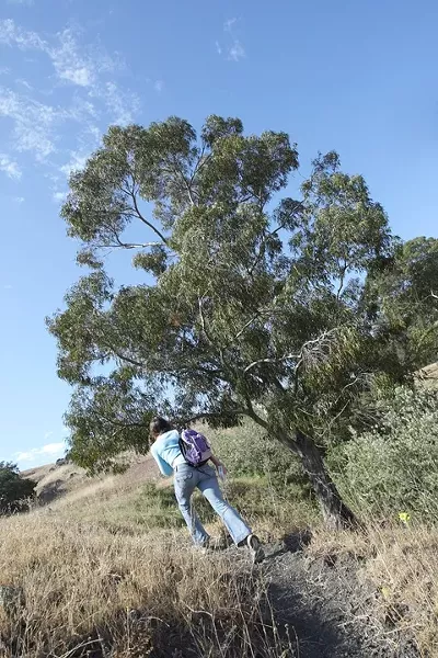 arts-ld-hiking-letterboxing.jpg