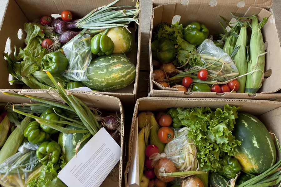 HEALTHY CHOICES : Boxes full of a variety of fresh seasonal produce were offered each week by the Cal Poly Organic Farm, until the program was unexpectedly halted in summer. - PHOTO BY STEVE E. MILLER