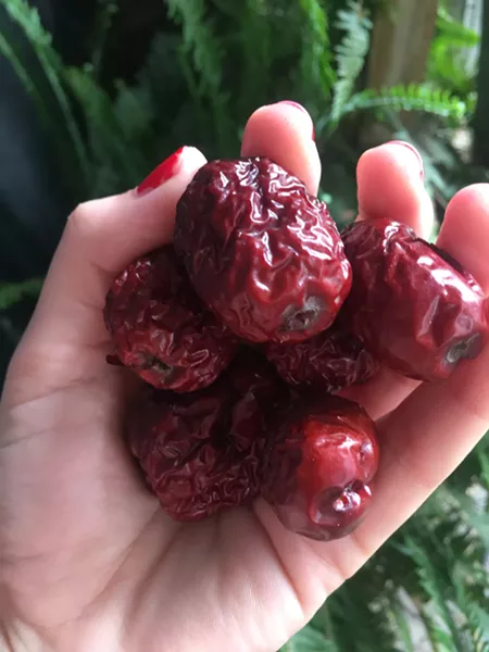 HANDFUL OF HEALTH Rich in flavonoids and phenols, these plum-like dried jujube fruits taste faintly of apple and showcase a complexity of phytonutrients. - PHOTO BY HAYLEY THOMAS CAIN