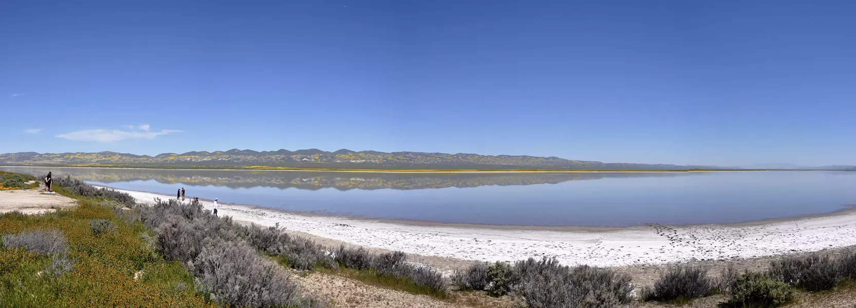 RAIN FULL Soda Lake reflects the yellow-spotted Caliente Range on April 1, 2017. - PHOTO CAMILLIA LANHAM