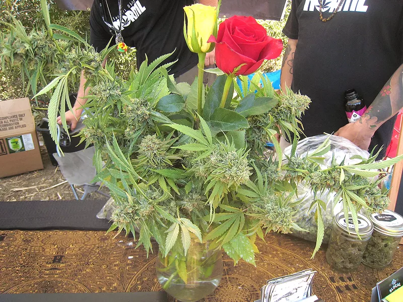 BLOOMING BUDS Slocal Roots Farms showed off a marijuana plant arrangement. - PHOTOS BY ERICA HUDSON