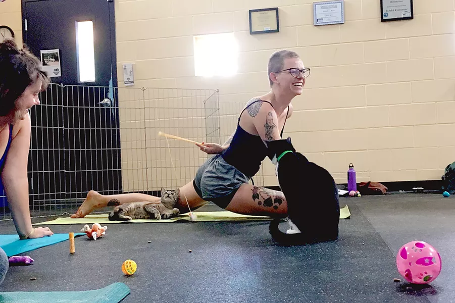 COGA TIME Bring your yoga mat, some water, and a friend to Woods Humane Society every Sunday at 10:15 a.m. for Cat Yoga. - PHOTO COURTESY OF ERICA HUDSON