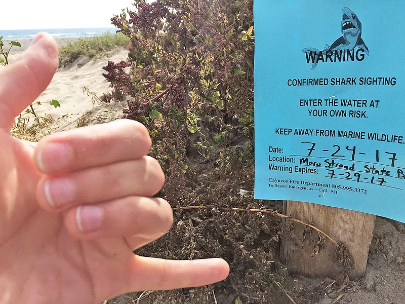 SHARK WAS HERE Thankfully, this shark sighting warning "expired" on the day I decided to go to Cayucos. Very reassuring ... - PHOTO BY PETER JOHNSON