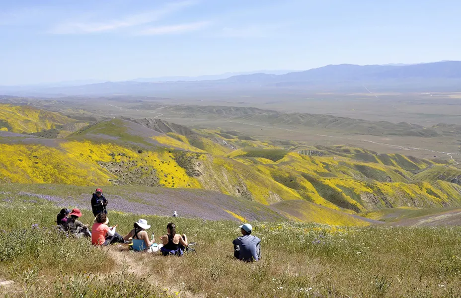 DEADLINE LOOMS Federal recommendations about the future status, boundaries, and protections of the Carrizo Plain National Monument are expected by Aug. 24. The Carrizo was one of 27 national monuments under review by the U.S. Department of the Interior. - FILE PHOTO