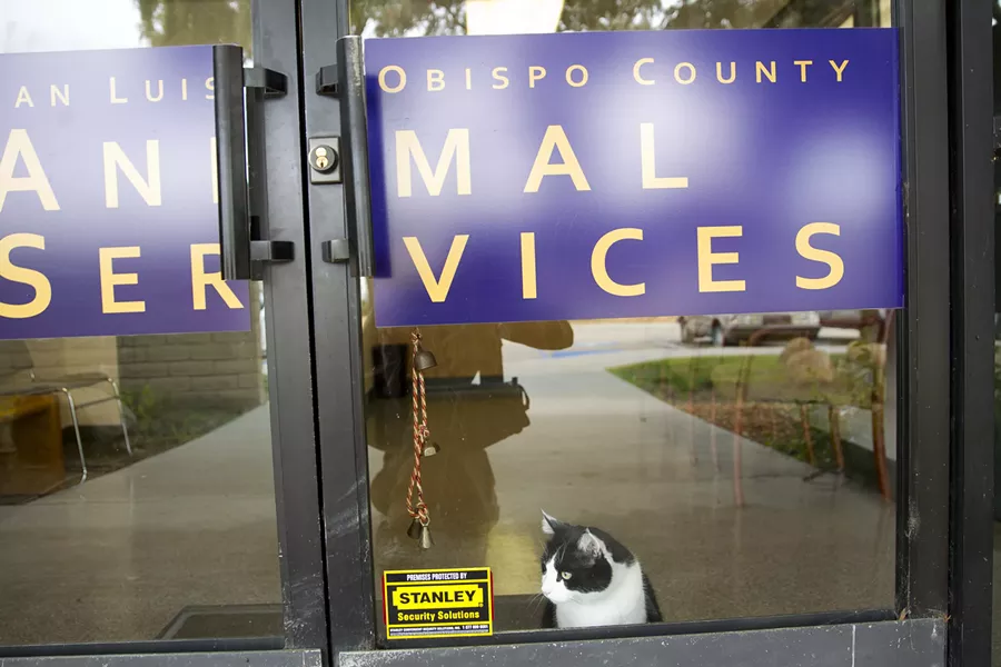 'WE'RE OUT' On Oct. 30, the Paso Robles and Atascadero city councils pulled out of an agreement to build a countywide animal shelter. They will instead build their own in Paso and likely contract with an out-of-area nonprofit for services. - FILE PHOTO BY JAYSON MELLOM