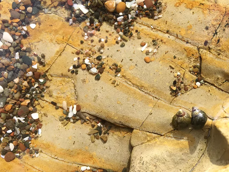 SEARCHING FOR GOLD Looking within the many tide pools on the beach, there are so many little creatures to examine and rocks to collect. - PHOTO BY KAREN GARCIA