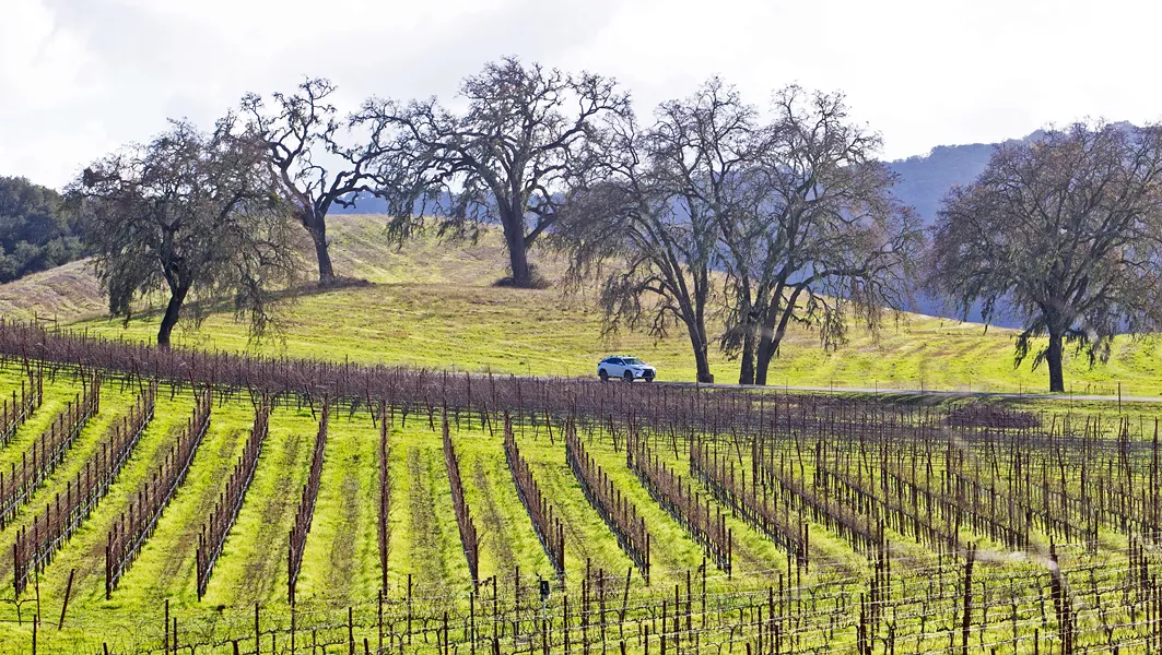 WHERE'S THE WATER? Landowners between Atascadero and Paso Robles and west of Highway 101, are asking SLO County for stronger groundwater protections amid increased development and drought. - FILE PHOTO BY JAYSON MELLOM