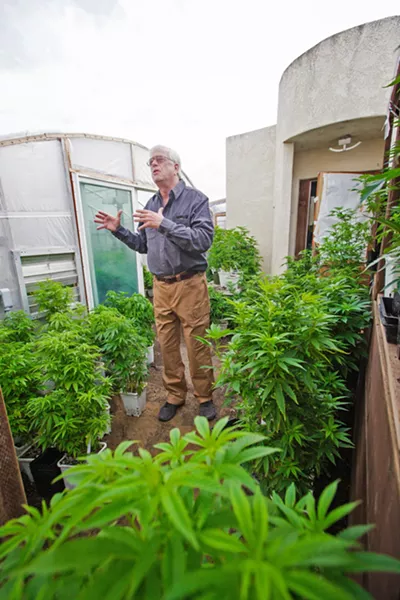 IN-HOME NURSERY Charlie Doster, owner of SLO Cloning, stands among cannabis plants that outgrew his Los Osos nursery. Doster runs a cloning business out of his garage but is seeking a new location. - PHOTO BY JAYSON MELLOM