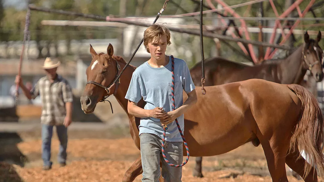 FINDING HIS WAY Charlie Plummer stars as Charlie, an adrift teen who takes a job working with race horses, eventually stealing one that's headed for the slaughterhouse. - PHOTO COURTESY OF BFI FILM FUND