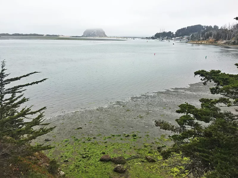 LEARNING WITH A VIEW The museum is situated overlooking an estuary and Morro Bay Rock, providing spectacular views from the observation deck. - PHOTO BY ASHLEY LADIN