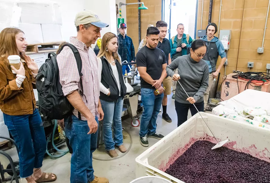 INTRO TO WINEMAKING Alfredo Koch (second from left), instructor and coordinator of the Allan Hancock College viticulture/enology program, leads his class in checking levels of fermentation on grapes in the student winery. - PHOTO BY JAYSON MELLOM
