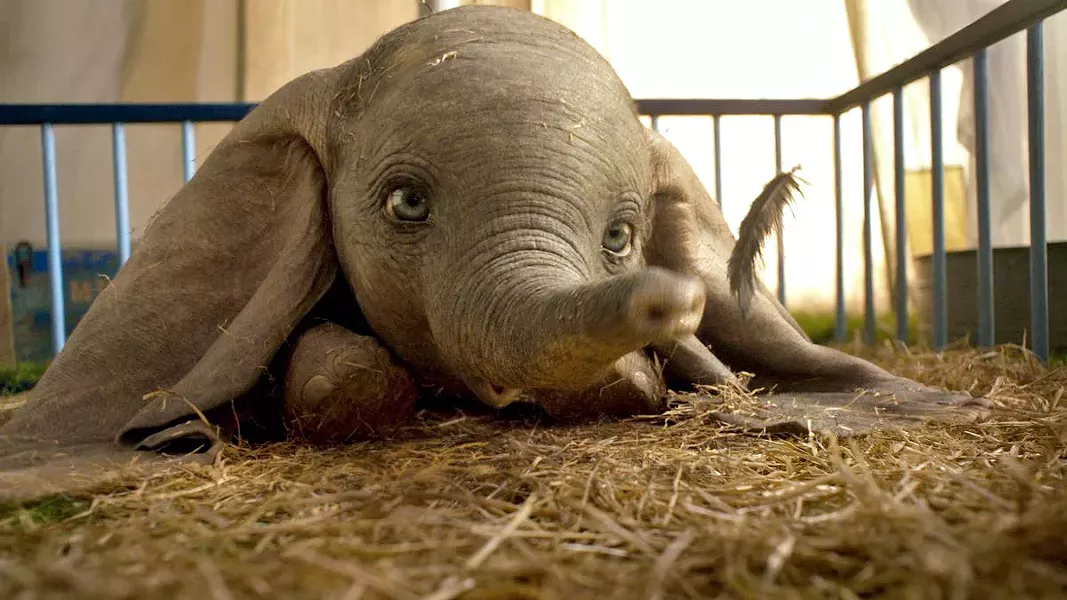BABY MINE The trend of live-action remakes of Disney animated films continues with director Tim Burton's Dumbo. - PHOTOS COURTESY OF WALT DISNEY STUDIOS