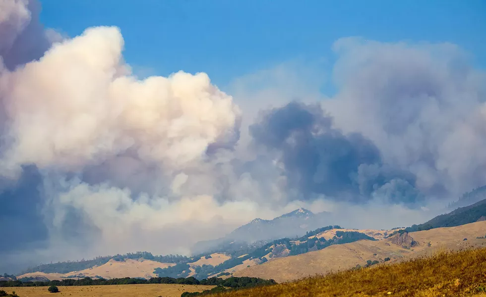 ABATING FUEL The SLO County Grand Jury issued a report on June 4 that urges the county to adopt a weed abatement ordinance to prevent and contain fires like 2016’s Chimney Fire (pictured). - FILE PHOTO BY JAYSON MELLOM