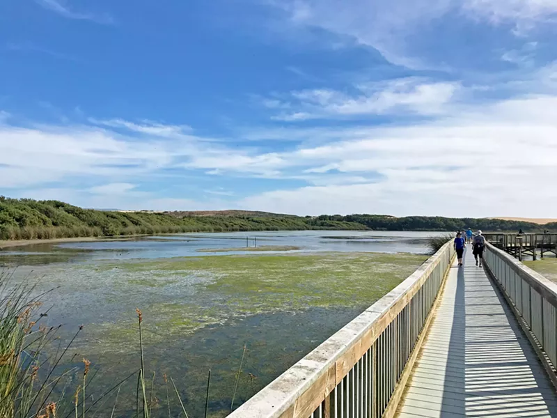 UP AND OVER A lovely footbridge traverses Oso Flaco Lake and takes you out to the beach dunes. - PHOTOS BY PETER JOHNSON