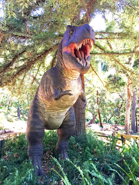 REX FLEX The tyrannosaurus rex, featured at the Santa Barbara Museum of Natural History's Prehistoric Forest exhibit, roars before lunging at me. - PHOTO COURTESY OF ALLI WALLACE
