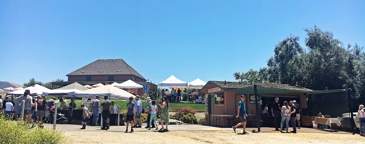OPEN FOR BUSINESS On opening day, June 29, Talley Farms brought out their yellow bins of in-season, organic fruits and veggies straight from the farm for sale, as local vendors joined in the fun and people picnicked on the grass with live music by The Catalina Eddy Four. - PHOTO BY BETH GIUFFRE