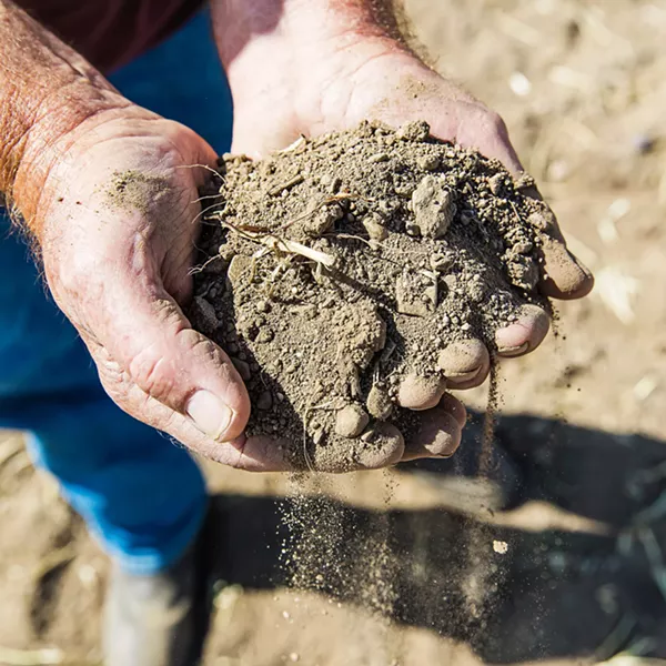 FALLOWED San Miguel farmer Robert Galbraith cups a handful of soil from his 280-acre property. Because of pumping restrictions in the Paso Robles Groundwater Basin, Galbraith can't farm like his family has for decades. - FILE PHOTO BY JAYSON MELLOM