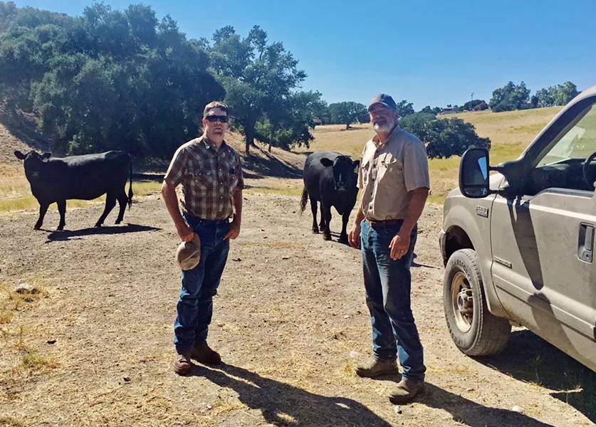 MOVIN' AND GROOVIN' Will Woolley and Alton Emery of Templeton Hills Beef are always looking for new land, making sure their cattle have fresh grasslands to graze on. Woolley explained that the Templeton area has long dry seasons, which make grazing challenging. - PHOTO BY BETH GIUFFRE