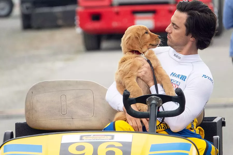A DOG'S BEST FRIEND Enzo (voiced by Kevin Costner) learns from his aspiring Formula One race car driver/owner Denny Swift (Milo Ventimiglia, right) that racetrack techniques can also successfully guide us through life, in The Art of Racing the Rain. - PHOTO COURTESY OF FOX 2000 PICTURES