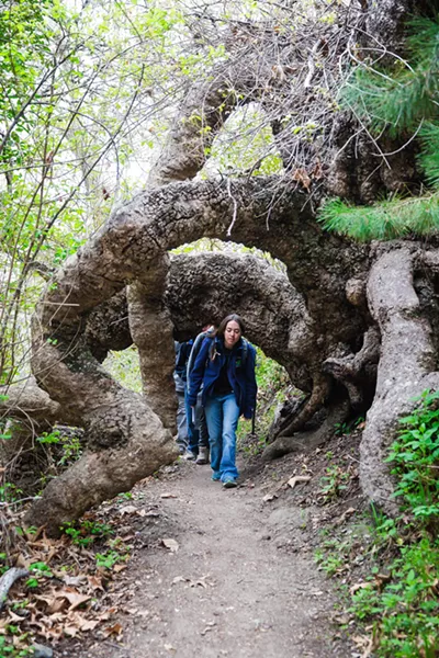EXPLORING Naturalists guide students through the Rancho El Chorro property to learn about nature in their backyard. - PHOTO BY JAYSON MELLOM