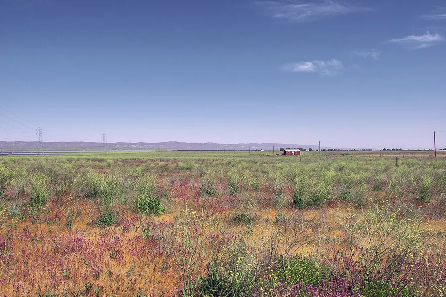 PRESERVATION The California Fish and Game Commission designated the North Carrizo Ecological Reserve in April, preserving land for its endangered and threatened inhabitants. - PHOTO COURTESY OF CHUCK WHEATON