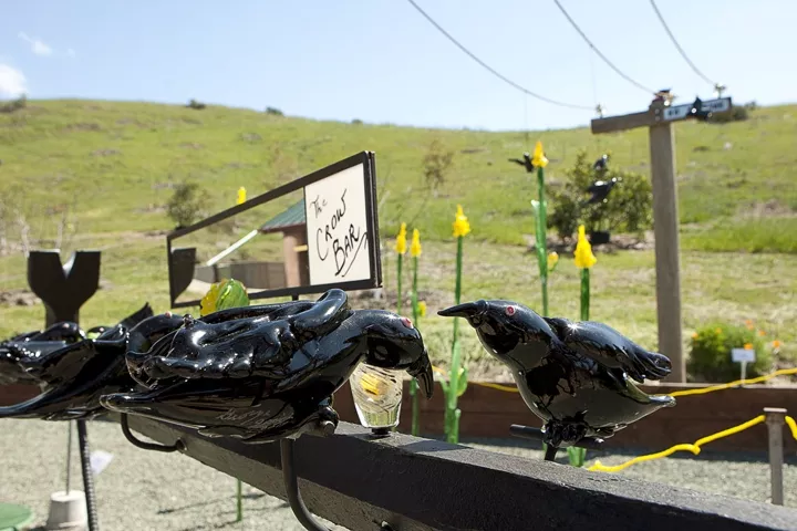 CROW BAR : George Jercich’s whimsical installation piece, pictured, is one of few site-specific pieces in the eighth annual Art Eco show at the SLO Botanical Garden. - PHOTO BY STEVE E. MILLER