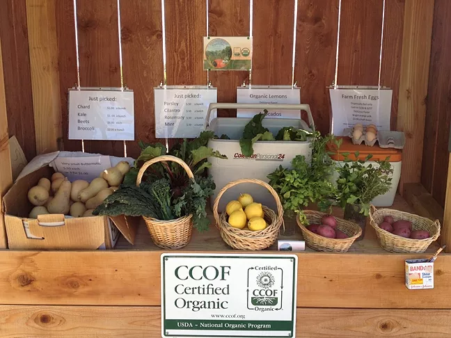 GET PICKY : Branch Mill Organic Farm operates a food stand where customers can take their pick of produce and leave their money in a cash box. - PHOTO COURTESY OF BRANCH MILL ORGANICS