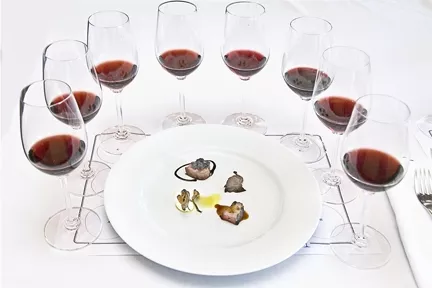 BACK TO SCHOOL : Learn something new about Pinot and experience some delicious taste combinations at the Iron Sommelier seminar during WOPN. - PHOTO COURTESY OF WORLD OF PINOT NOIR