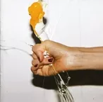 starkey_cd_yeah_yeah_yeahs.jpg