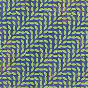 starkey-cd-animal_collective.jpg