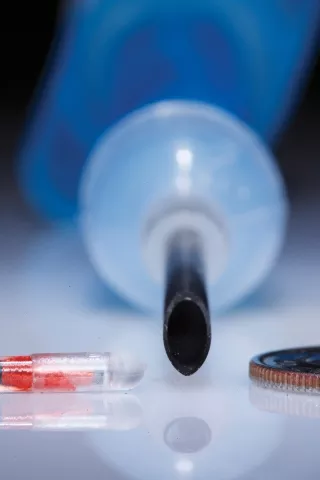 LIBERTY MEETS SECURITY : Microchips containing RFID technology are slightly larger than a grain of rice, requiring large needles to inject them into an animal's skin. - PHOTO BY STEVE E. MILLER