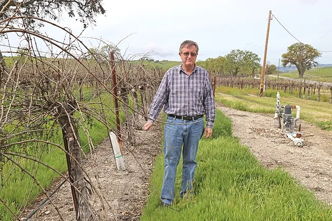 PLUCKED: Dana Merrill, an early proponent of the water district, stands next to his vineyard east of Templeton. - PHOTO BY DYLAN HONEA-BAUMANN