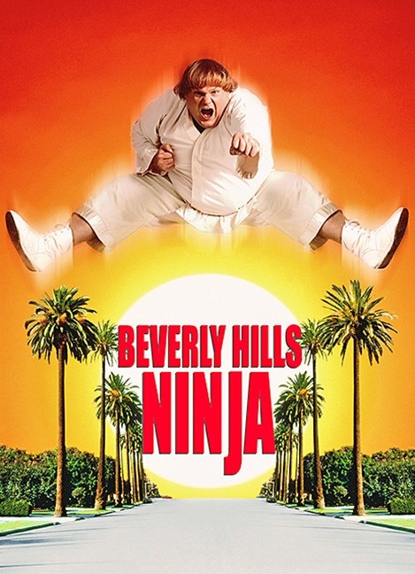 film-guiltypleasure-beverly_hills_ninja-3-23.jpg