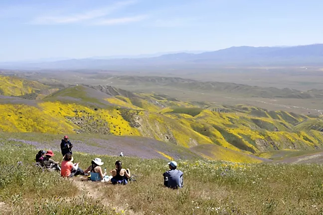 UNDER REVIEW: The Carrizo Plain is one of six California national monuments now facing an uncertain future after a Trump executive order asked officials to re-evaluate monuments’ protected status and boundary lines. - PHOTO BY CAMILLIA LANHAM