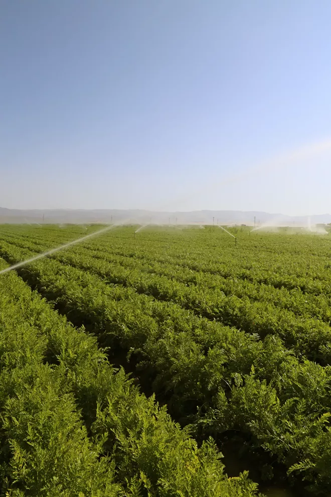 Water fight: Cuyama Valley landowners face an adjudication lawsuit as they try to sustainably manage their groundwater basin - Vimarsana News