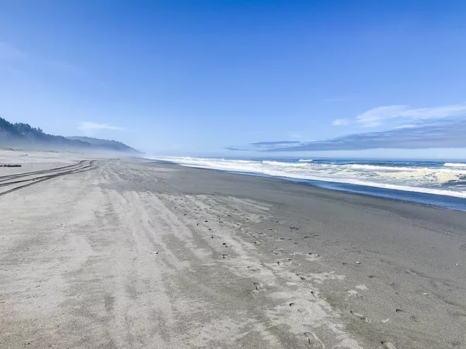 Trailblazing: The redwood coast - Vimarsana News