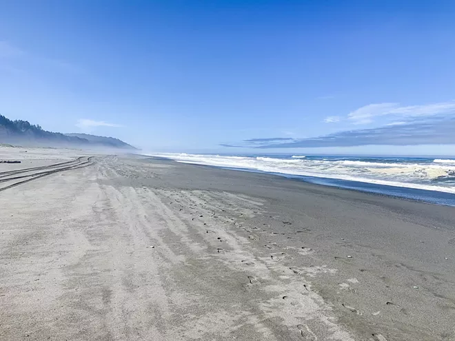 Trailblazing:The redwood coast - Vimarsana News