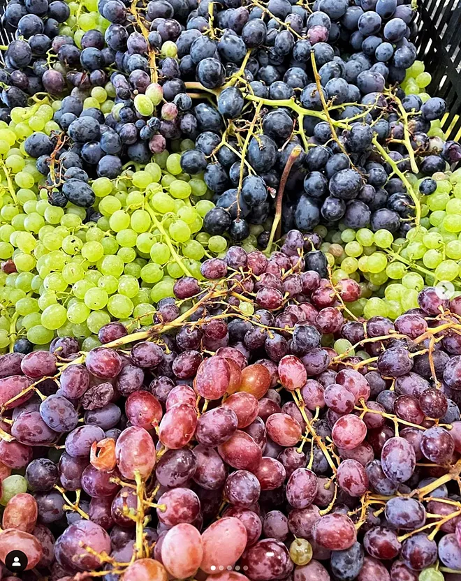 San Luis Coastal's meal program gets national recognition for quality, sustainability, and nutritional value - Vimarsana News