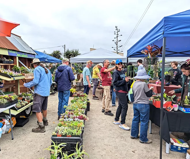 Plants and flowers are thoughtful gifts that highlight the Central Coast's natural beauty - Vimarsana News
