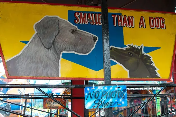 The world's smallest horse and dog at the Oklahoma State Fair. (Mark Hancock)