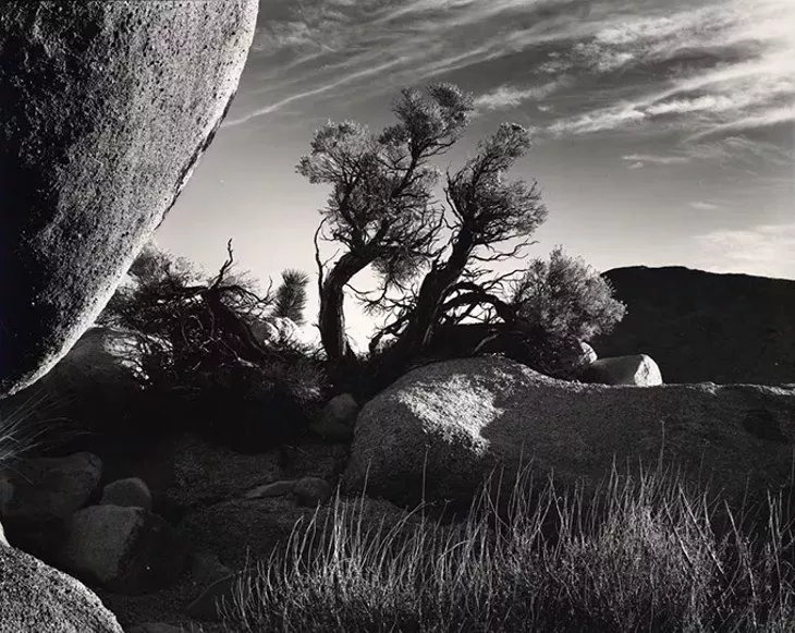 Photograph by Brett Weston - OKLAHOMA CITY MUSEUM OF ART / PROVIDED