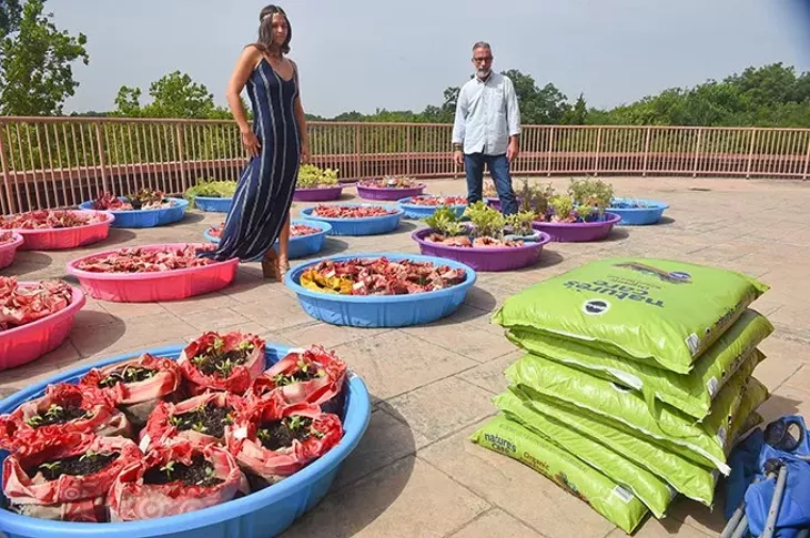 Carissa Jetto, a student at UCO, and Tim Tillman , UCO's sustainability coordinator, look over vegitable gardens in kiddy pools growing on a relitivly unused balcony area at the school's Nigh University Center. mh