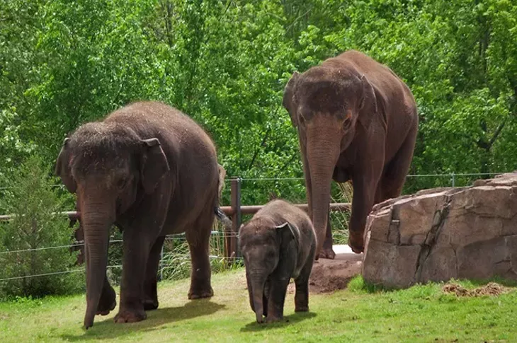 Chandra, Malee and Asha go for a stroll (Gillian Lang)