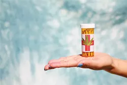 An unidentifiable womans hand holds Medical Marijuana aka Pot, Dope, Mary Jane, Joints, Wacky Weed, Loco Weed, Ganja, Medicine, Bud, Shake, herb, cannabis, purple kush, kush, thc, prescription. - BIGSTOCK