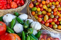 10 Acre Woods in Norman provides a large crop of heirloo0om tomatoes, peppers and an assortment of other produce.Photo/Shannon Cornman - SHANNON CORNMAN