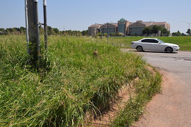 Tall grass and weeds take over an intersection, almost hiding a fire hydrant, at the corner of McAuley Boulevard and W. Memorial Road. (Mark Hancock)